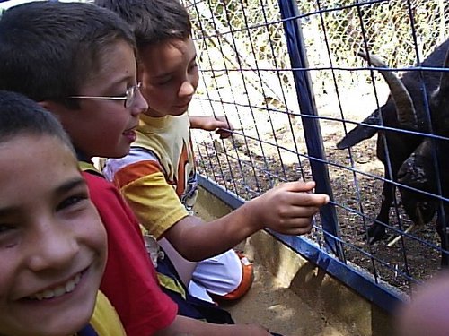 Cacera 2005 - Viaje a Sevilla y al Zoo de Carmona - 4 de junio de 2005 - Foto 73