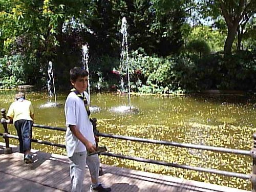 Cacera 2005 - Viaje a Sevilla y al Zoo de Carmona - 4 de junio de 2005 - Foto 80