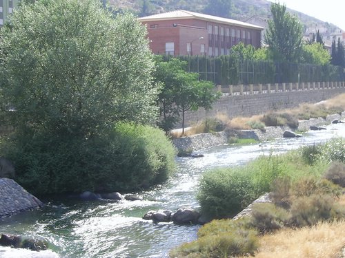 Excursin a la Fuente de la Bicha - 18 de junio de 2005 - Foto 2