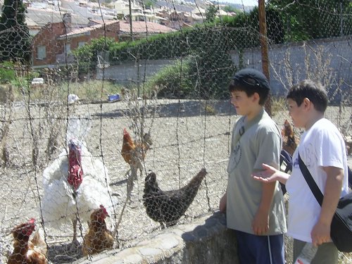 Excursin a la Fuente de la Bicha - 18 de junio de 2005 - Foto 33