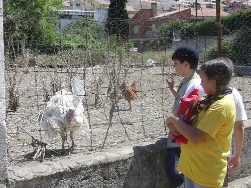 Excursin a la Fuente de la Bicha - 18 de junio de 2005 - Foto 34