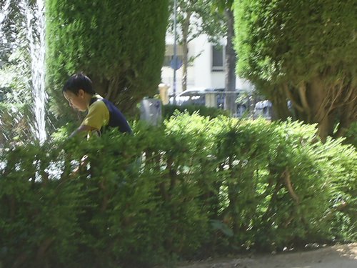 Excursin a la Fuente de la Bicha - 18 de junio de 2005 - Foto 42