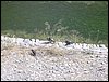 Excursin a la Fuente de la Bicha - 18 de junio de 2005