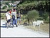 Excursin a la Fuente de la Bicha - 18 de junio de 2005