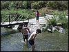 Excursin a la Fuente de la Bicha - 18 de junio de 2005