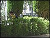 Excursin a la Fuente de la Bicha - 18 de junio de 2005