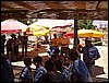 Acampada XXII aniversario en Cogollos de Guadix - 2 y 3 de julio de 2005