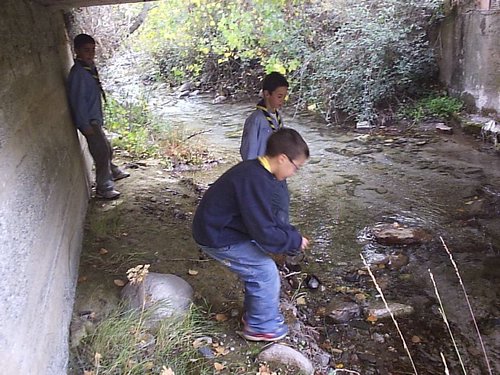 Excursi�n al R�o D�lar el 22 de octubre de 2005 - Foto 16
