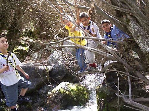 Excursi�n al R�o D�lar el 22 de octubre de 2005 - Foto 40