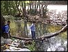 Excursi�n al R�o D�lar el 22 de octubre de 2005