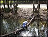 Excursi�n al R�o D�lar el 22 de octubre de 2005
