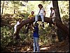 Excursi�n al R�o D�lar el 22 de octubre de 2005