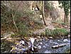 Excursi�n al R�o D�lar el 22 de octubre de 2005