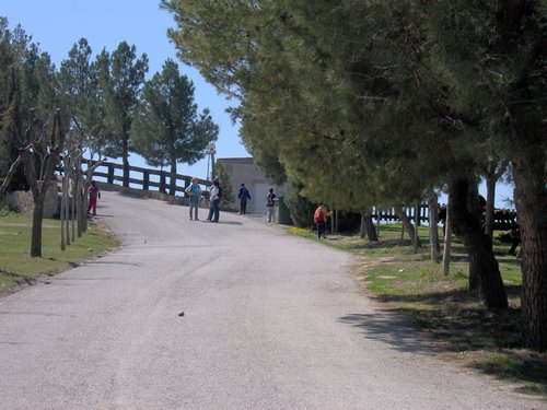 Excursi�n a la Ermita de los Tres Juanes
Sierra Elvira (Atarfe) - 11 marzo 2006 - Foto 49