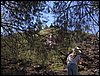 Excursi�n a la Ermita de los Tres Juanes
Sierra Elvira (Atarfe) - 11 marzo 2006