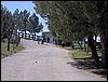 Excursi�n a la Ermita de los Tres Juanes
Sierra Elvira (Atarfe) - 11 marzo 2006