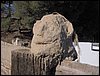 Excursi�n a la Ermita de los Tres Juanes
Sierra Elvira (Atarfe) - 11 marzo 2006