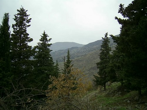 Excursi�n a Sierra Nevada el 2 de diciembre de 2006 - Foto 92