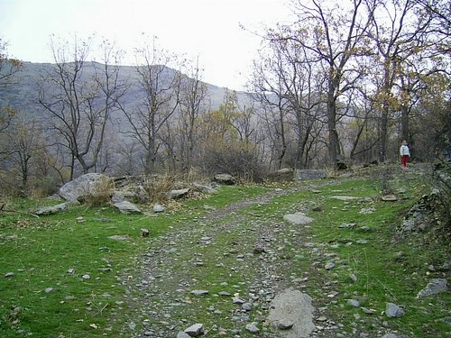 Excursi�n a Sierra Nevada el 2 de diciembre de 2006 - Foto 95