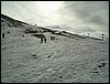 Excursi�n a Sierra Nevada el 2 de diciembre de 2006