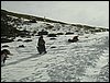 Excursi�n a Sierra Nevada el 2 de diciembre de 2006