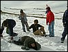 Excursi�n a Sierra Nevada el 2 de diciembre de 2006