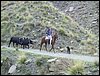 Excursi�n a Sierra Nevada el 2 de diciembre de 2006