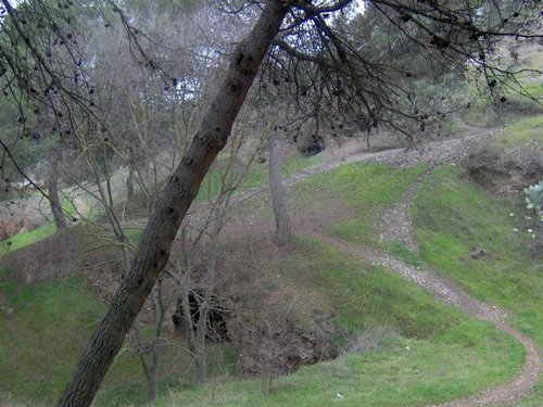 Excursin al Llano de la Perdiz el 3 de febrero de 2007 - Foto 63