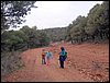 Excursin al Llano de la Perdiz el 3 de febrero de 2007