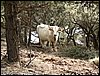 Campamento volante por la Alpujarra