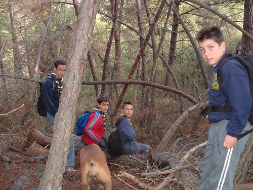 Excursi�n a buscar setas el 22 de octubre de 2005 - Foto 2