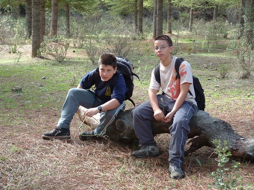 Excursi�n a buscar setas el 22 de octubre de 2005 - Foto 9