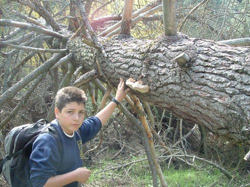 Excursi�n a buscar setas el 22 de octubre de 2005 - Foto 11