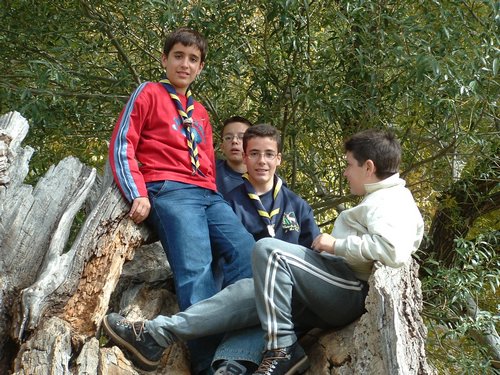 Excursi�n a buscar setas el 22 de octubre de 2005 - Foto 13
