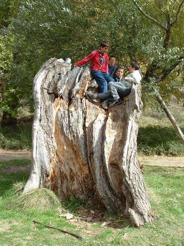 Excursi�n a buscar setas el 22 de octubre de 2005 - Foto 14
