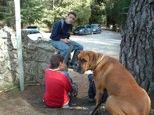 Excursi�n a buscar setas el 22 de octubre de 2005 - Foto 19