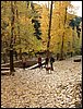 Excursi�n a buscar setas el 22 de octubre de 2005