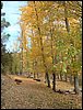 Excursi�n a buscar setas el 22 de octubre de 2005
