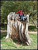 Excursi�n a buscar setas el 22 de octubre de 2005