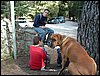 Excursi�n a buscar setas el 22 de octubre de 2005