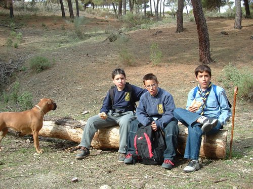 Excursi�n y visita al Centro de recuperaci�n de Aves el 5 de noviembre de 2005 - Foto 7