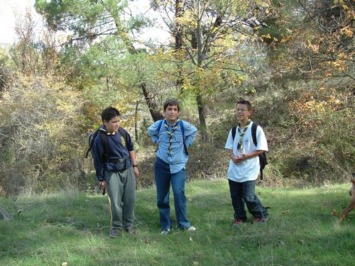 Excursi�n y visita al Centro de recuperaci�n de Aves el 5 de noviembre de 2005 - Foto 12