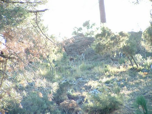 Excursi�n y visita al Centro de recuperaci�n de Aves el 5 de noviembre de 2005 - Foto 15