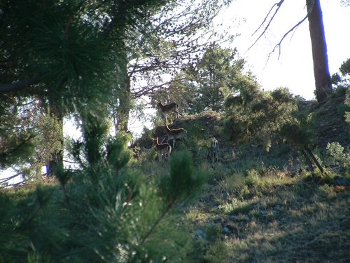 Excursi�n y visita al Centro de recuperaci�n de Aves el 5 de noviembre de 2005 - Foto 16