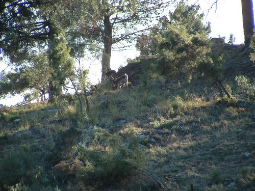Excursi�n y visita al Centro de recuperaci�n de Aves el 5 de noviembre de 2005 - Foto 17
