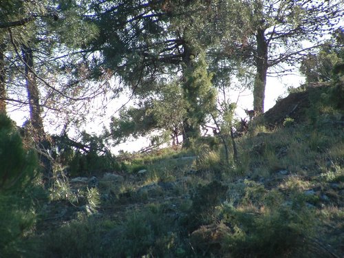 Excursi�n y visita al Centro de recuperaci�n de Aves el 5 de noviembre de 2005 - Foto 18