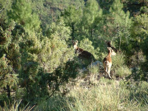 Excursi�n y visita al Centro de recuperaci�n de Aves el 5 de noviembre de 2005 - Foto 21