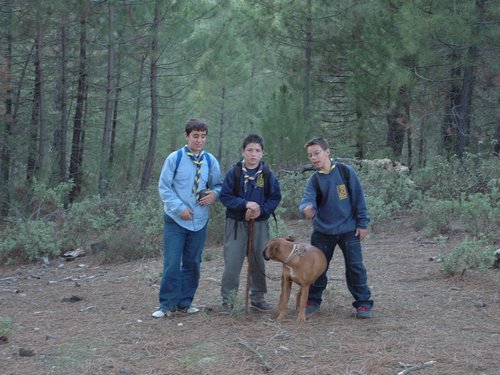 Excursi�n y visita al Centro de recuperaci�n de Aves el 5 de noviembre de 2005 - Foto 22