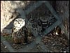 Excursi�n y visita al Centro de recuperaci�n de Aves el 5 de noviembre de 2005