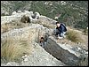 Excursi�n y visita al Centro de recuperaci�n de Aves el 5 de noviembre de 2005